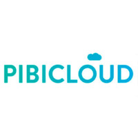 PIBICLOUD logo - Similar company to Ibic