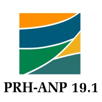 PRH 19.1 logo - Similar company to Prh-Anp 33.1