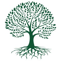 Kimpton Digital Solutions LLC logo - Similar company to M3 Technology, Llc