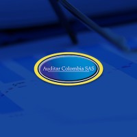 Auditar Colombia SAS logo - Similar company to Mco Global