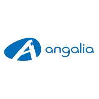 Angalia logo - Similar company to No Rage Group