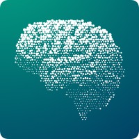 Cognity logo - Similar company to Nutri Samurai