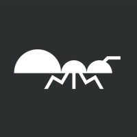 11Ants logo - Similar company to Xl Cfo