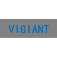 Vigiant Industrial Limited logo - Similar company to Vigiant Ltd