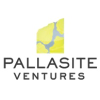Pallasite Ventures Inc. logo - Similar company to Saic Capital