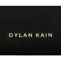Dylan Kain logo - Similar company to Bahru