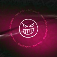 MadNet Partners logo - Similar company to C.R.E.A.M. Partners