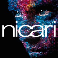 Nicari Laminations BV logo - Similar company to Utb Oils Netherlands