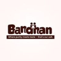 Bandhan Salt logo - Similar company to Fitx Transformation