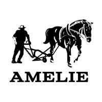 AMELIE logo - Similar company to Layer Cake