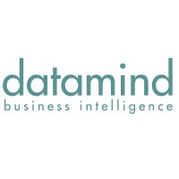 Datamind BI logo - Similar company to Datamind