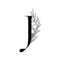 Juniper Strategy Ltd logo - Similar company to Viklari Consulting Limited