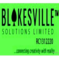 BLAKESVILLE SOLUTIONS LIMITED logo - Similar company to Biogold Group Llc