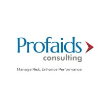 Profaids Consulting logo - Similar company to Ace Firm