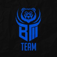 BM TEAM logo - Similar company to Hickmannrh