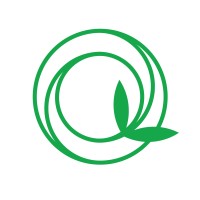 Capilli Trading Inc logo - Similar company to Vrsa Visuals