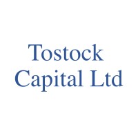 Tostock Capital Ltd logo - Similar company to Skylark Works