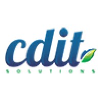 CDIT Solutions logo - Similar company to Cdit Llc