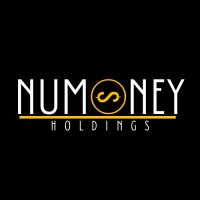 NuMoney Holdings logo - Similar company to Yourbankservice