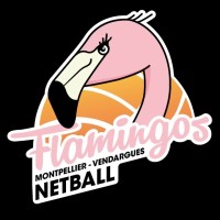 Netball Montpellier Flamingos logo - Similar company to Akté