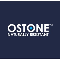 OSTONE ™ SAS logo - Similar company to Drivecourses Inc /The Zine Copyright