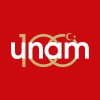 Unam Institute Of Materials Science And Nanotechnology