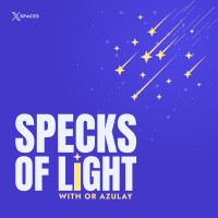 Specks of Light logo - Similar company to Cognifiber