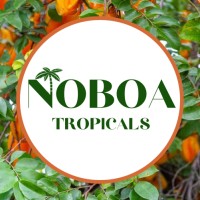 Noboa Tropicals Inc logo - Similar company to Kriwininternational