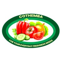 Cothemba Investment (Pty) Limited logo - Similar company to Caps Logistics