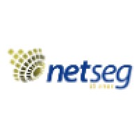 NetSeg.com.br logo - Similar company to Millenium Telecom