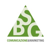 BSG S.R.L. logo - Similar company to Bsg Srl