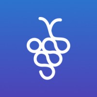Grapevine logo - Similar company to Tocstech Llc