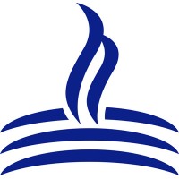 Blue Flame Digital Solutions Limited logo - Similar company to Blue Flame Digital