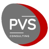 PVS Consulting Sagl logo - Similar company to Pvs Srl - Process Validation Service -