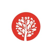 Filmytree logo - Similar company to Tech Glance Service