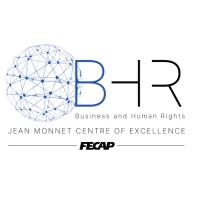Jean Monnet Centre of Excellence on Business and Human Rights logo - Similar company to Llb Partners, Inc