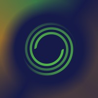 Netsmart Security logo - Similar company to Netsmart