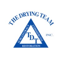 TDT - The Drying Team logo - Similar company to Dry-Tek Environmental