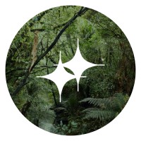 Metui Collective