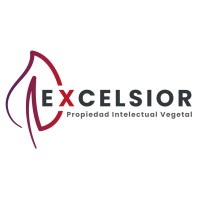 Excelsior Inversiones S.A.S. logo - Similar company to Switch