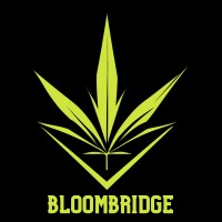 Bloombridge Clones logo - Similar company to Scs Construction Management