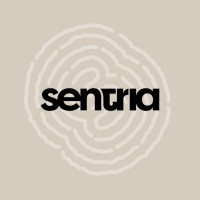 Studio Sentria logo - Similar company to Dodicci