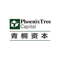 青桐资本 logo - Similar company to 方创资本