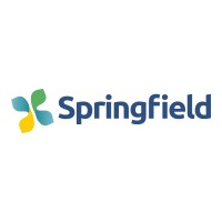 SPRINGFIELD GROUP logo - Similar company to Rigwealth Group