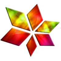 The Northern Light Creative Agency logo - Similar company to Solid. | Brand & Creative Agency