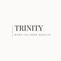 Consulting LLC Trinity logo - Similar company to Bonee Systems Llc