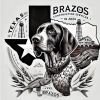Brazos Construction Services logo - Similar company to Ledgerpeek