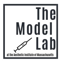 The Model Lab At The Aesthetic Mentor