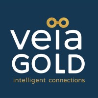 Veia Gold Ltd logo - Similar company to Lsemun