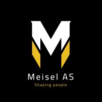 Meisel AS logo - Similar company to Onvisit By Adaptive As